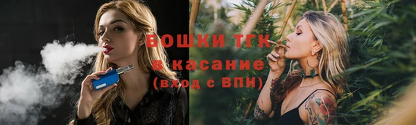 стафф Горняк