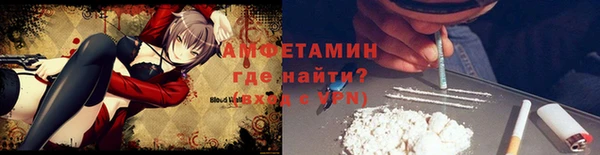 мдпв Горно-Алтайск