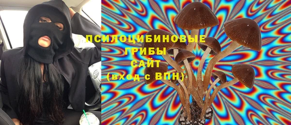 мдпв Горно-Алтайск