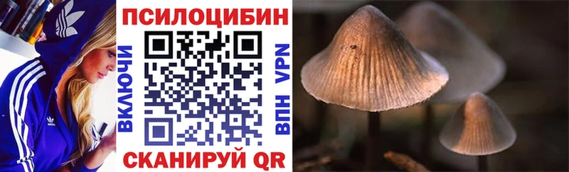 Псилоцибиновые грибы Cubensis Добрянка